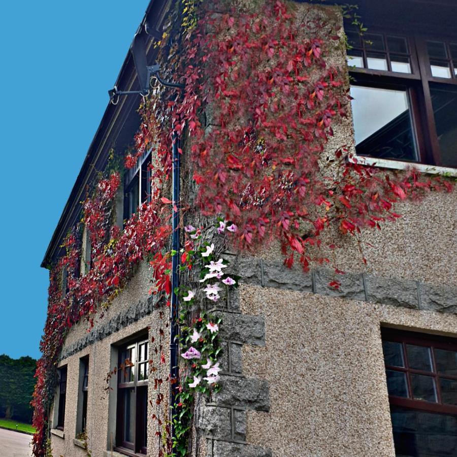 Hotel Bogenraith House à Banchory Extérieur photo